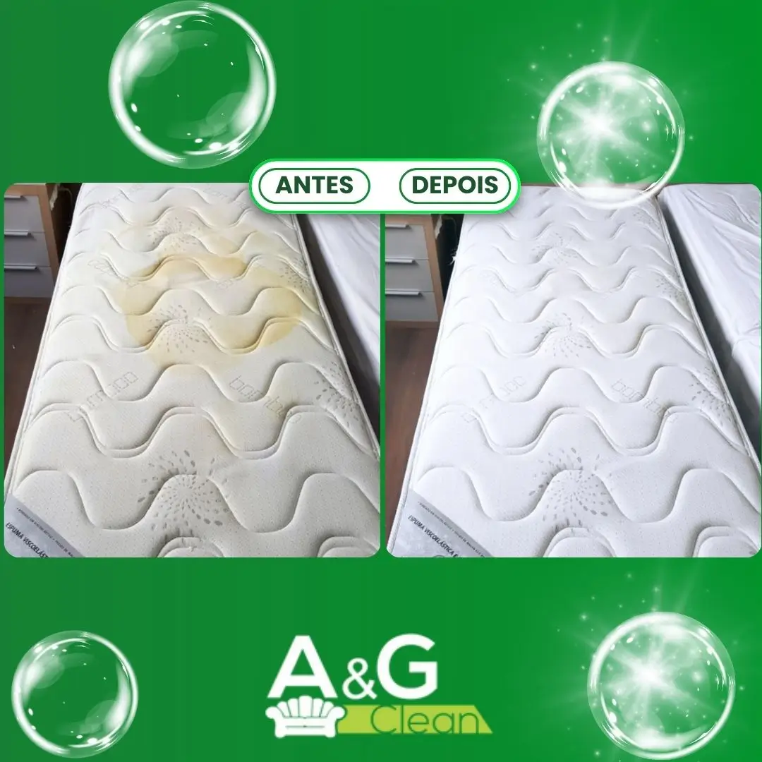 limpeza-higienizacao-impermeabilização-de-estofados4